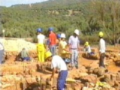 obra (647) PREVENCION RIESGOS LABORALES